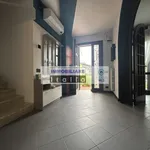 Rent 1 bedroom house of 130 m² in Ponte San Nicolò