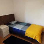 Rent 5 bedroom apartment in Lisbon