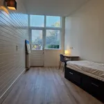 Huur 3 slaapkamer appartement van 90 m² in Den Haag