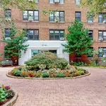 Rent 1 bedroom apartment in NY