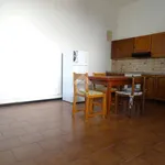 Rent 2 bedroom apartment of 60 m² in Alessandria