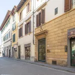 Rent 2 bedroom apartment of 45 m² in Florence