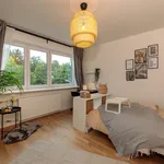 Rent 1 bedroom apartment of 20 m² in Berlin