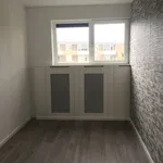 Huur 2 slaapkamer appartement in Heerlen