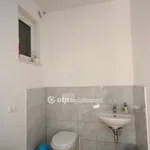 Rent 5 bedroom apartment in Budapest