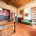 Rent 1 bedroom apartment in Florence