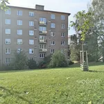 Rent 2 bedroom apartment of 53 m² in Prague