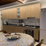 Rent 3 bedroom house of 120 m² in Siena