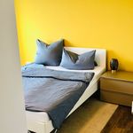 Miete 2 Schlafzimmer wohnung von 60 m² in Dresden