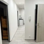 Pronajměte si 3 ložnic/e byt o rozloze 67 m² v Nýřany