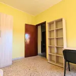 Rent 3 bedroom apartment of 80 m² in catanzaro