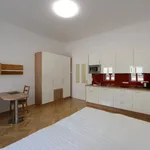 Miete 1 Schlafzimmer wohnung von 30 m² in Vienna