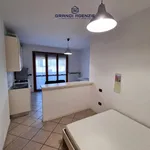 Rent 1 bedroom apartment of 40 m² in Parma