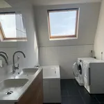 Rent 3 bedroom house of 150 m² in Rotterdam