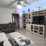 Rent 5 bedroom apartment of 139 m² in Civitanova Marche