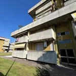 Rent 1 bedroom apartment of 40 m² in Busto Arsizio