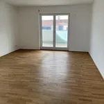 Rent 4 bedroom apartment of 167 m² in Dresden