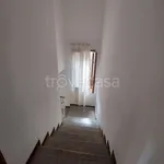 Rent 3 bedroom apartment of 70 m² in Padova