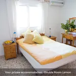 Rent a room in Málaga