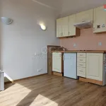 Rent 1 bedroom apartment of 20 m² in Capital City of Prague