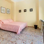 Rent 5 bedroom apartment in Valencia