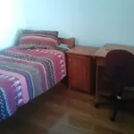 Rent 1 bedroom apartment in Port Elizabeth