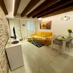 Rent 1 bedroom apartment of 40 m² in Venice