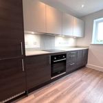 Rent 3 bedroom house in Chelmsford