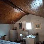 Rent 2 bedroom apartment of 55 m² in Pavia