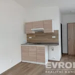 Pronajměte si 1 ložnic/e byt o rozloze 18 m² v Liberec