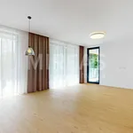 Rent 1 bedroom apartment in Nymburk