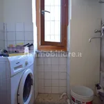 Rent 2 bedroom apartment of 50 m² in Turin