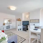 Rent 1 bedroom apartment in Lisbon