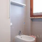 Rent 3 bedroom apartment of 75 m² in Pisa