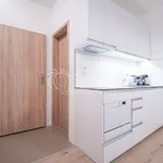 Rent 1 bedroom apartment in Ostrava