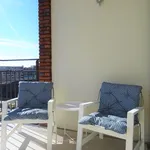 Rent 3 bedroom apartment of 90 m² in Leidsche Rijn-Centrum