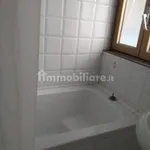 Rent 1 bedroom apartment of 30 m² in Turin