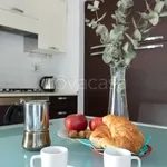 Rent 2 bedroom apartment of 65 m² in Bologna