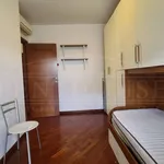 Rent 3 bedroom apartment of 90 m² in Roma