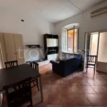 Rent 2 bedroom apartment of 55 m² in Cremona