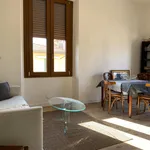 Affitto 4 camera appartamento di 80 m² in Firenze