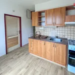 Rent 2 bedroom apartment of 58 m² in Litoměřice