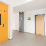 Pronajměte si 2 ložnic/e byt o rozloze 42 m² v Kutná Hora