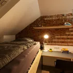 Miete 1 Schlafzimmer wohnung von 23 m² in Köln