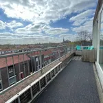 Rent 1 bedroom house of 75 m² in Tilburg