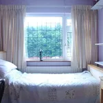 Rent a room in dublin