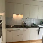 Rent 4 bedroom apartment in Aesch