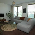 Rent 1 bedroom apartment of 71 m² in Groningen