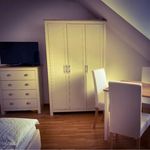 Rent a room of 80 m² in Frankfurt am Main