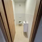 Rent 4 bedroom apartment of 115 m² in České Budějovice